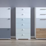robna kuca stanojcic mmp ORMARIC B6 3
