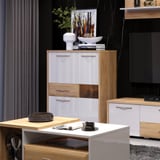 robna kuca stanojcic mmp VITRINA V96 3KS1FGL 5
