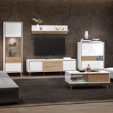 vida v1s d2
